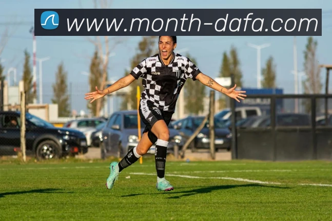 大发彩票平台生态图